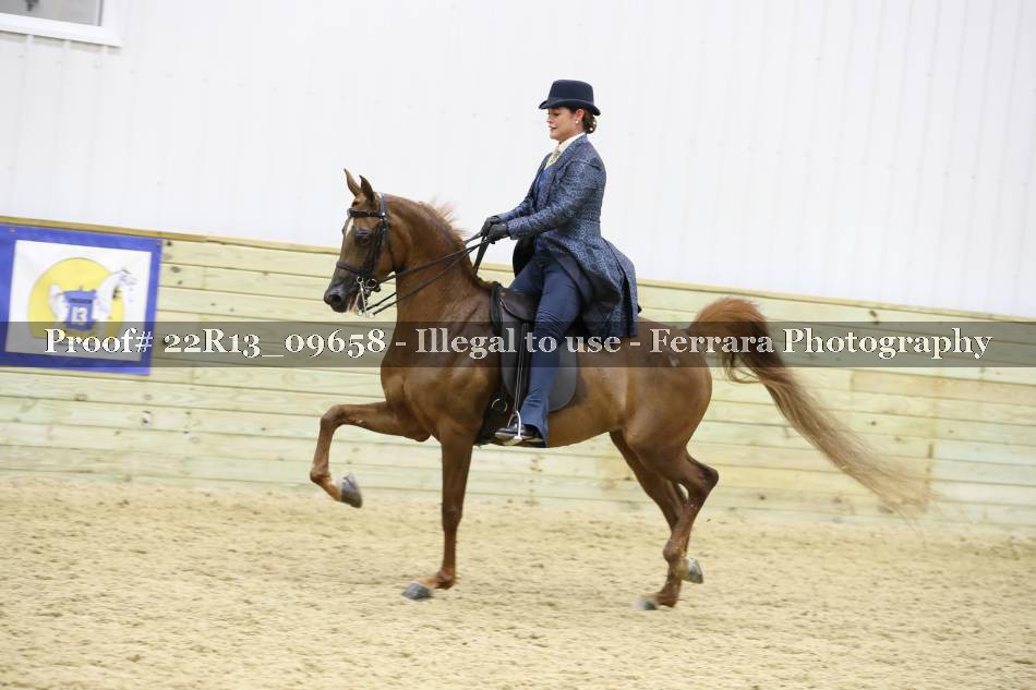 Proof 22R13_09658