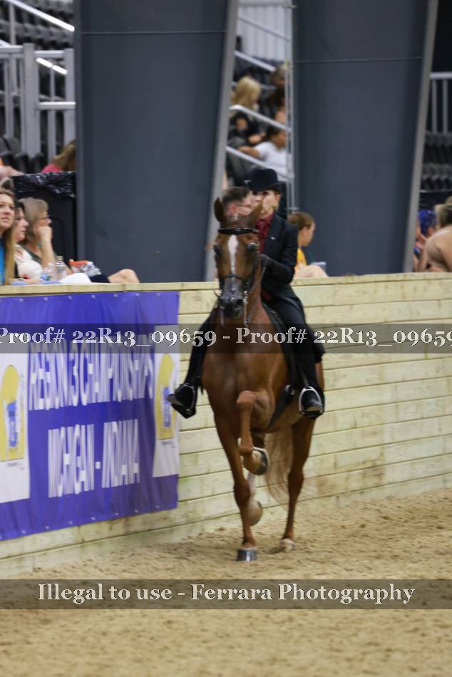 Proof 22R13_09659
