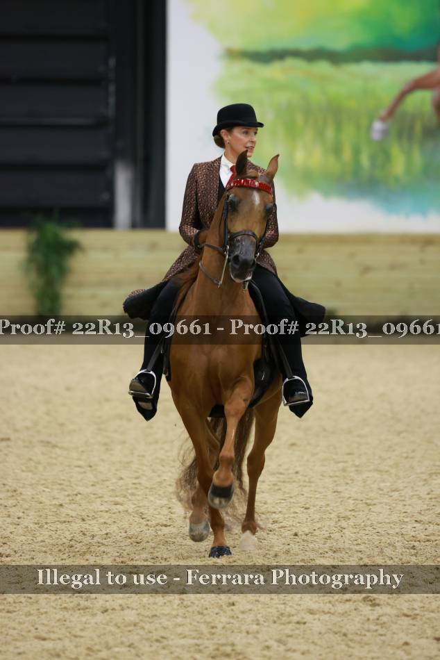 Proof 22R13_09661