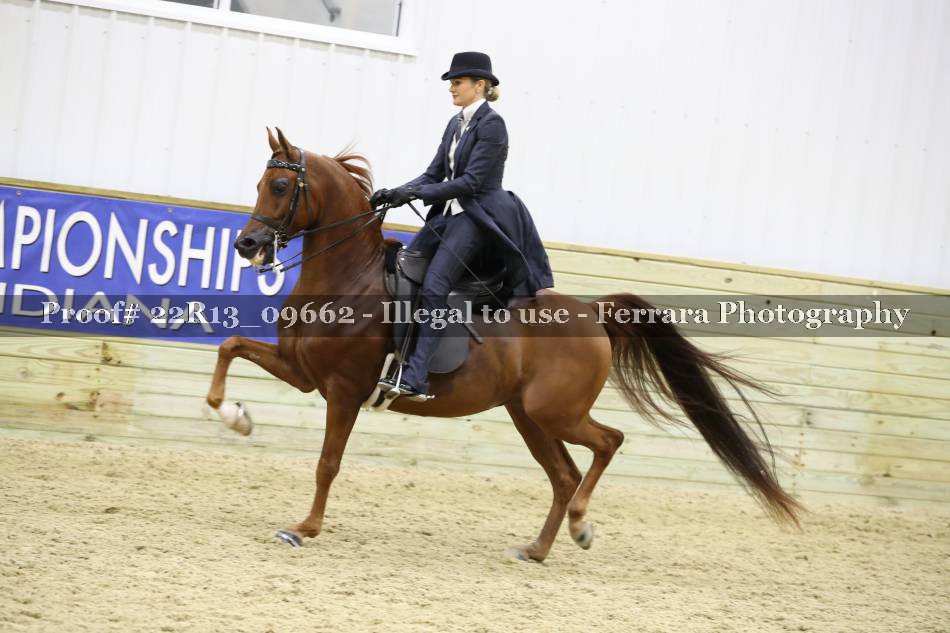 Proof 22R13_09662