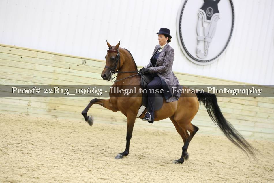 Proof 22R13_09663