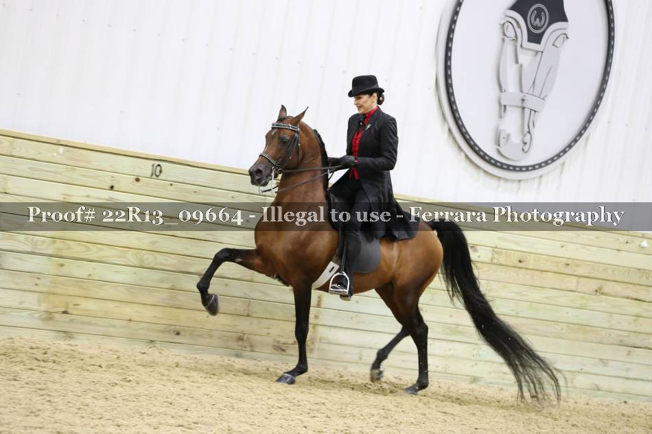 Proof 22R13_09664