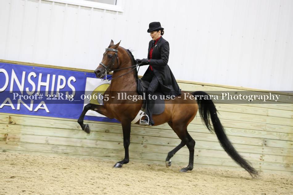 Proof 22R13_09665