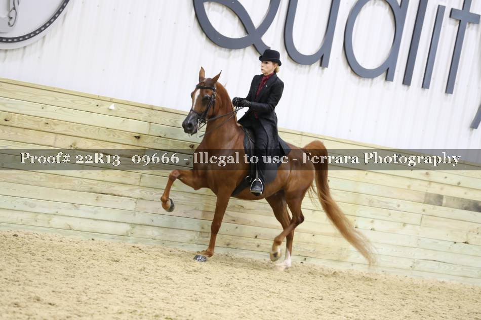 Proof 22R13_09666