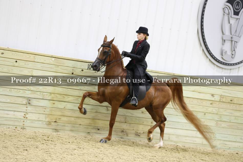 Proof 22R13_09667