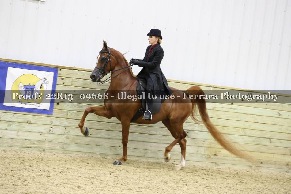 Proof 22R13_09668