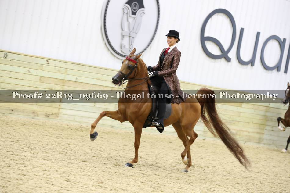 Proof 22R13_09669