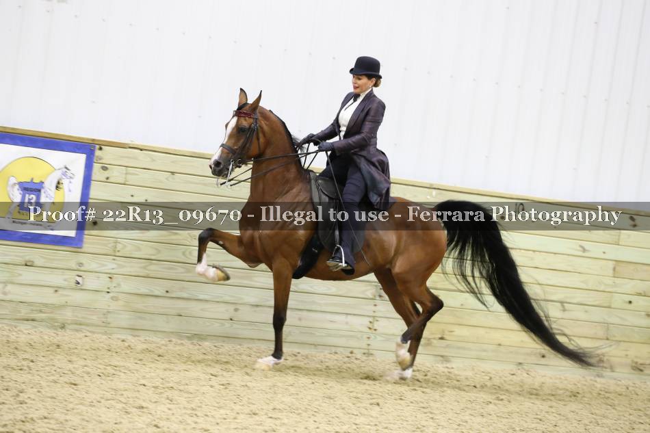 Proof 22R13_09670
