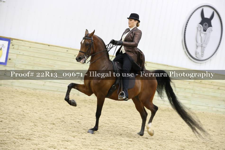 Proof 22R13_09671