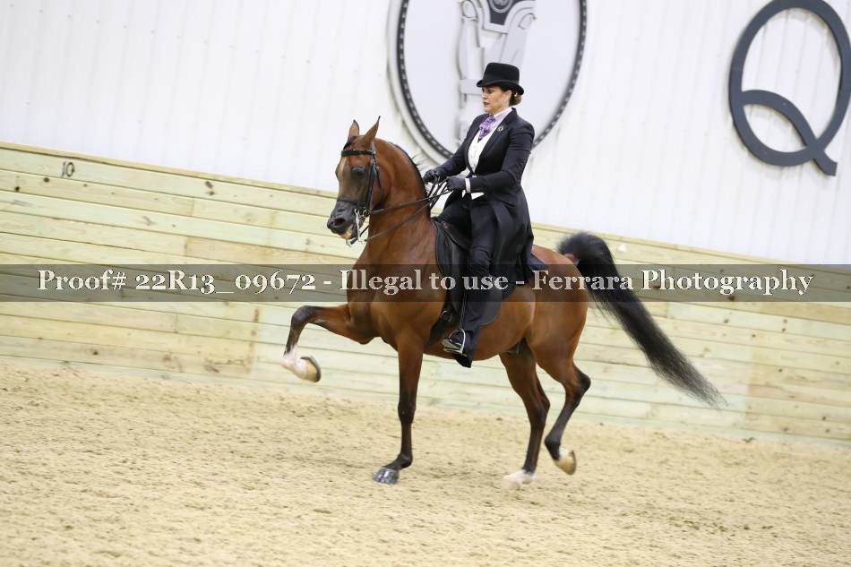 Proof 22R13_09672