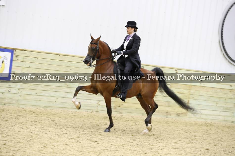 Proof 22R13_09673