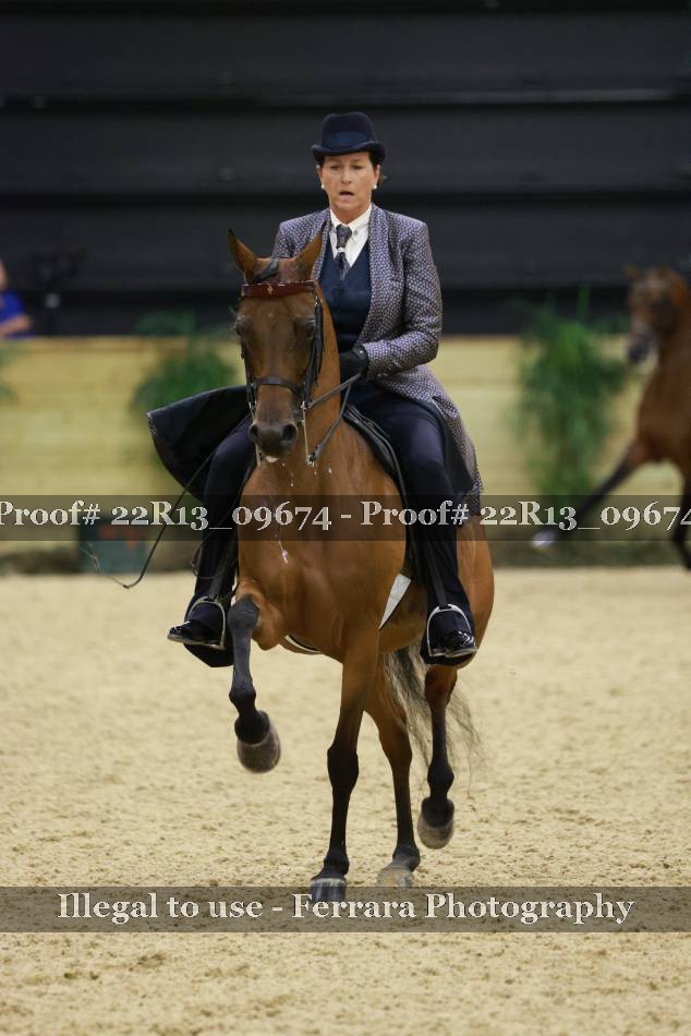 Proof 22R13_09674