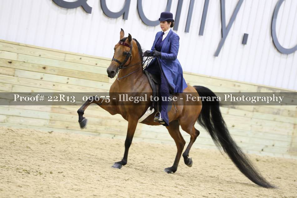 Proof 22R13_09675