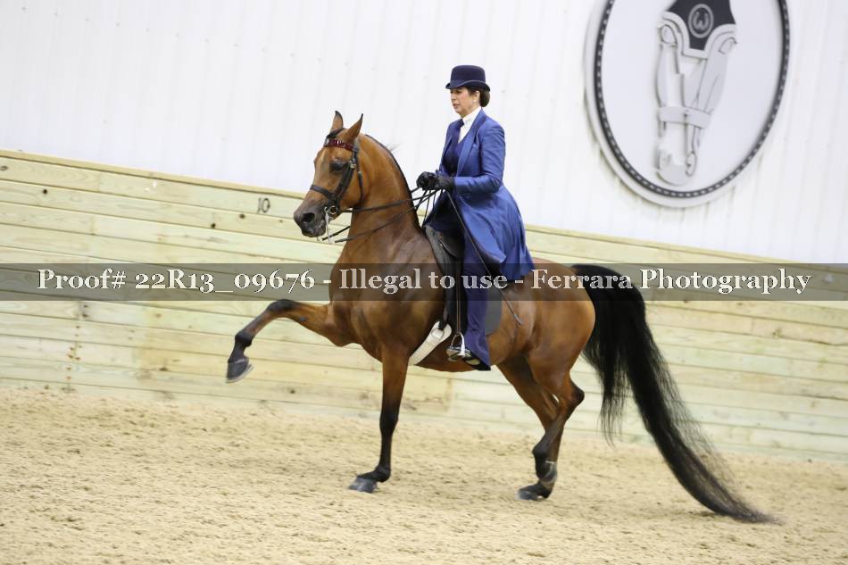 Proof 22R13_09676