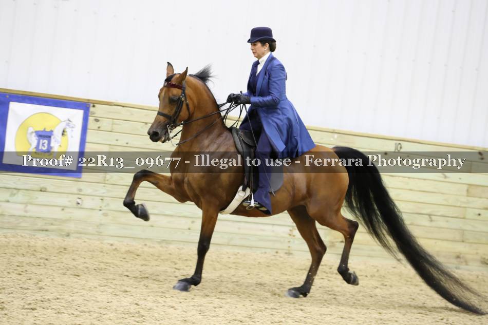 Proof 22R13_09677
