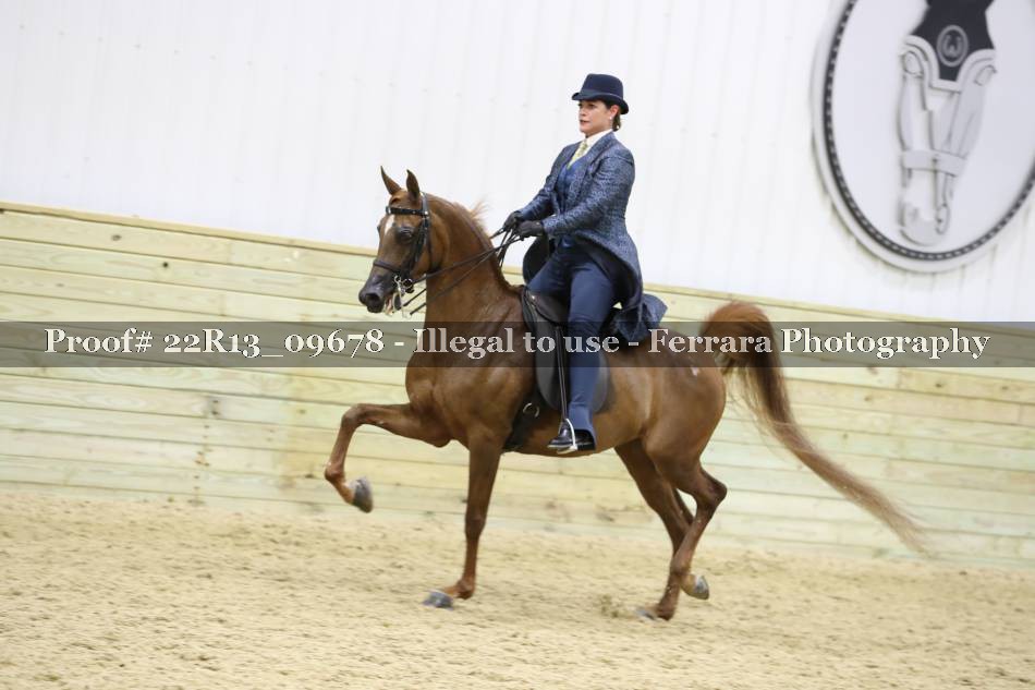 Proof 22R13_09678