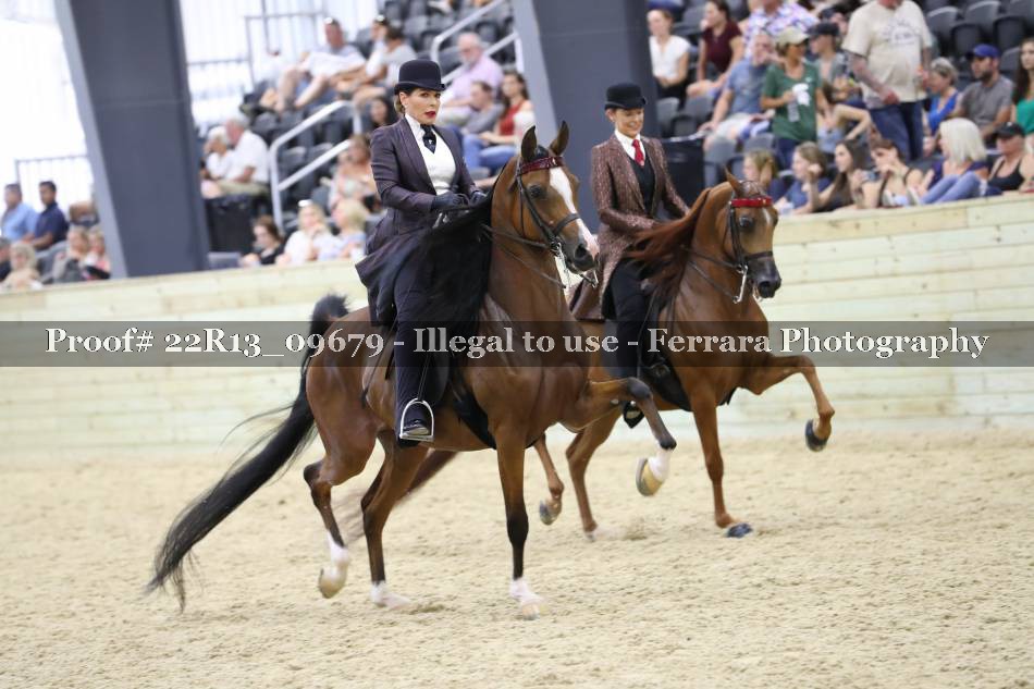 Proof 22R13_09679