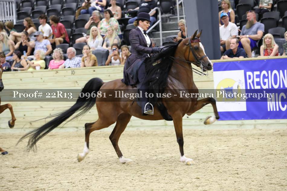 Proof 22R13_09681