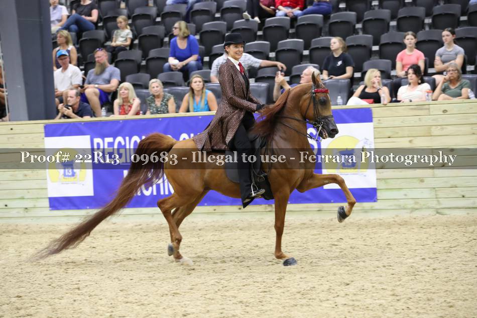 Proof 22R13_09683