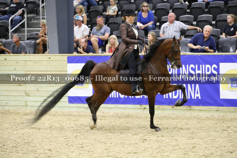 Proof 22R13_09685