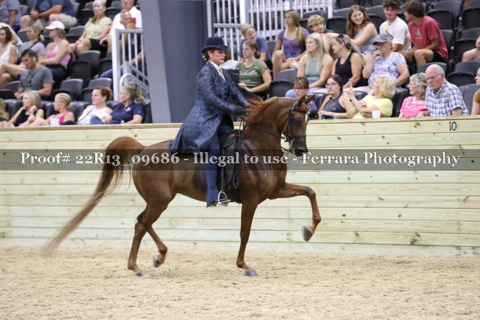 Proof 22R13_09686