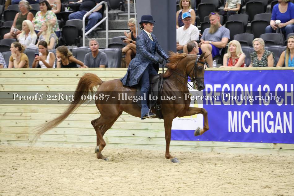 Proof 22R13_09687