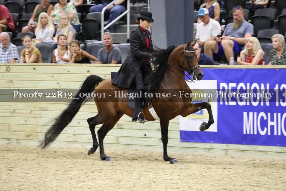 Proof 22R13_09691