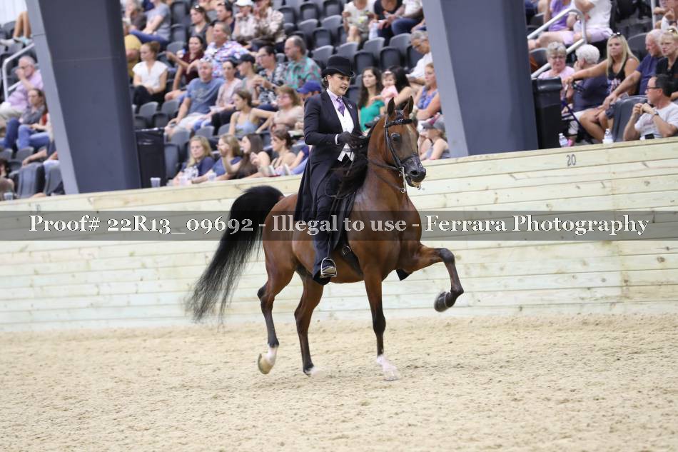 Proof 22R13_09692