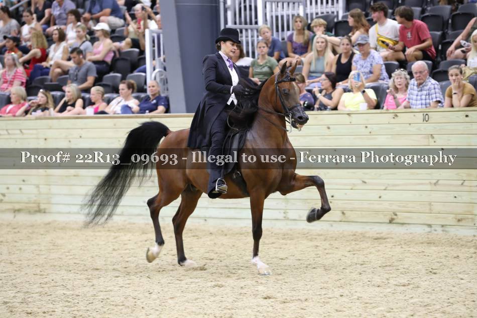Proof 22R13_09693