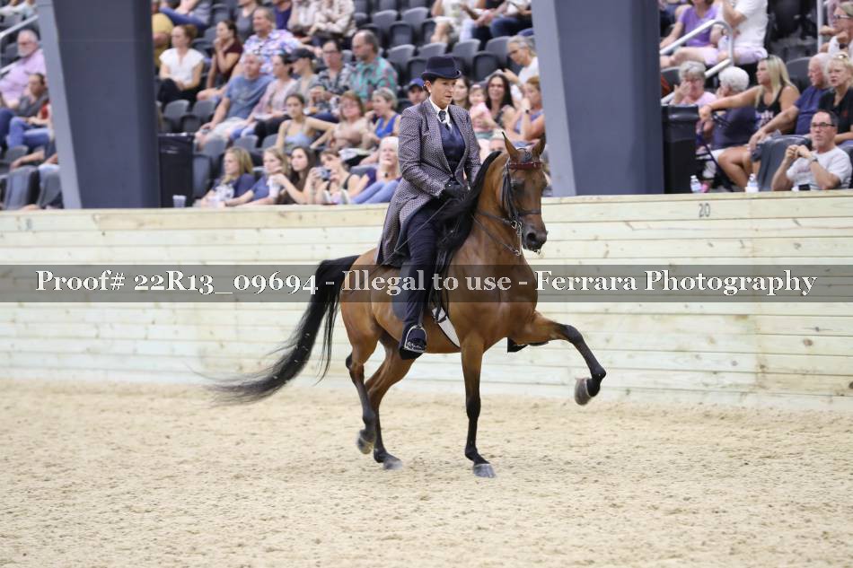 Proof 22R13_09694