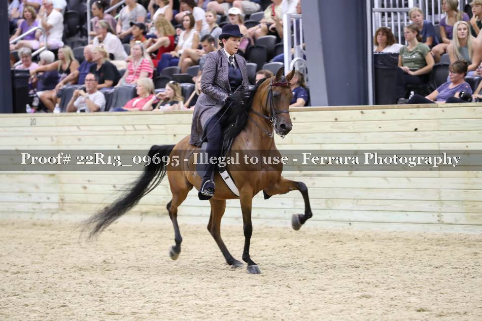 Proof 22R13_09695