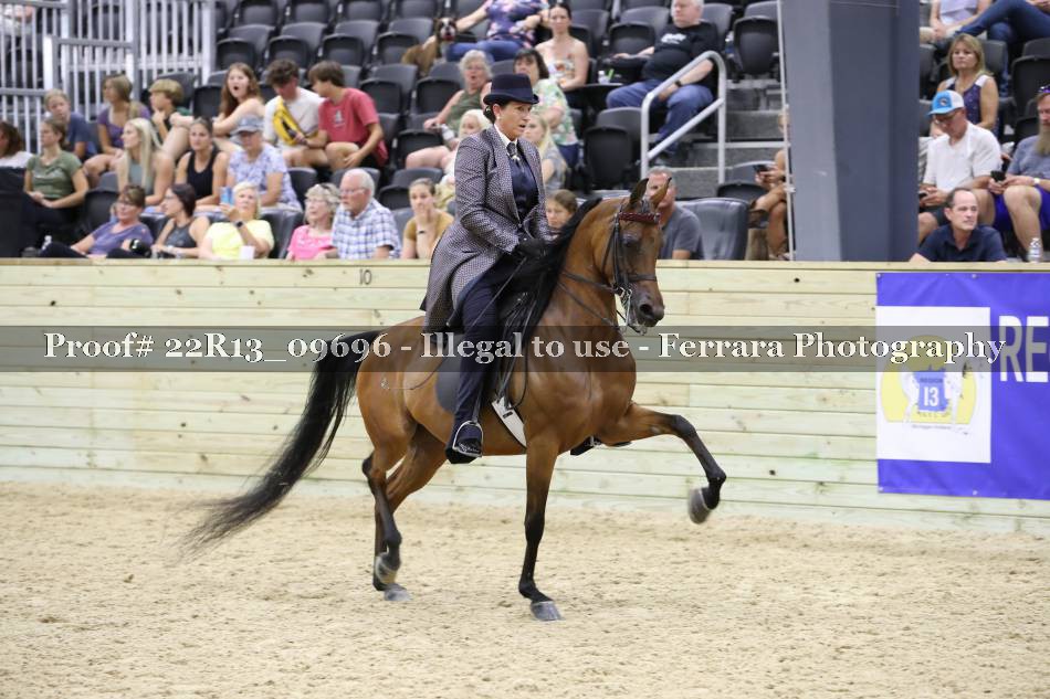 Proof 22R13_09696