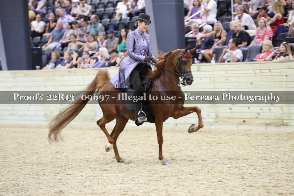 Proof 22R13_09697