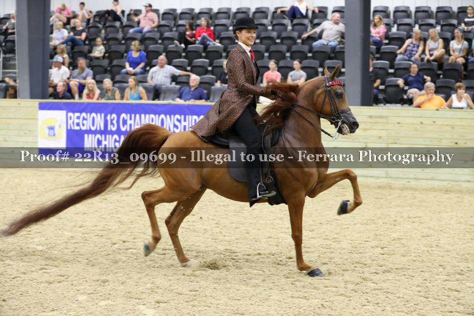 Proof 22R13_09699