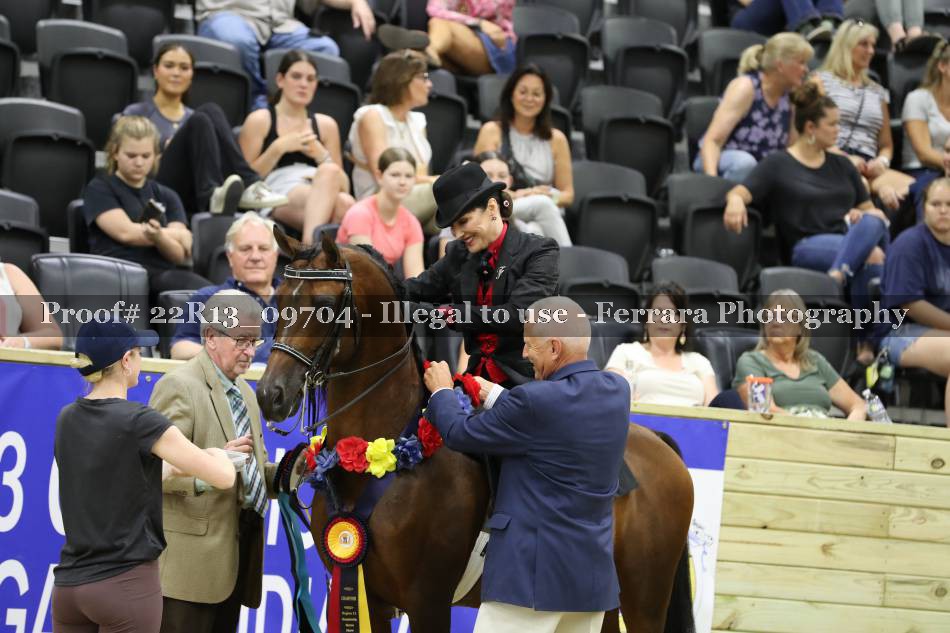 Proof 22R13_09704