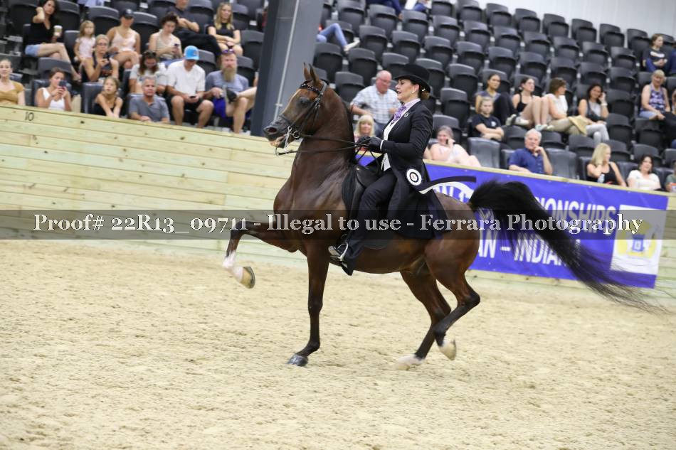 Proof 22R13_09711