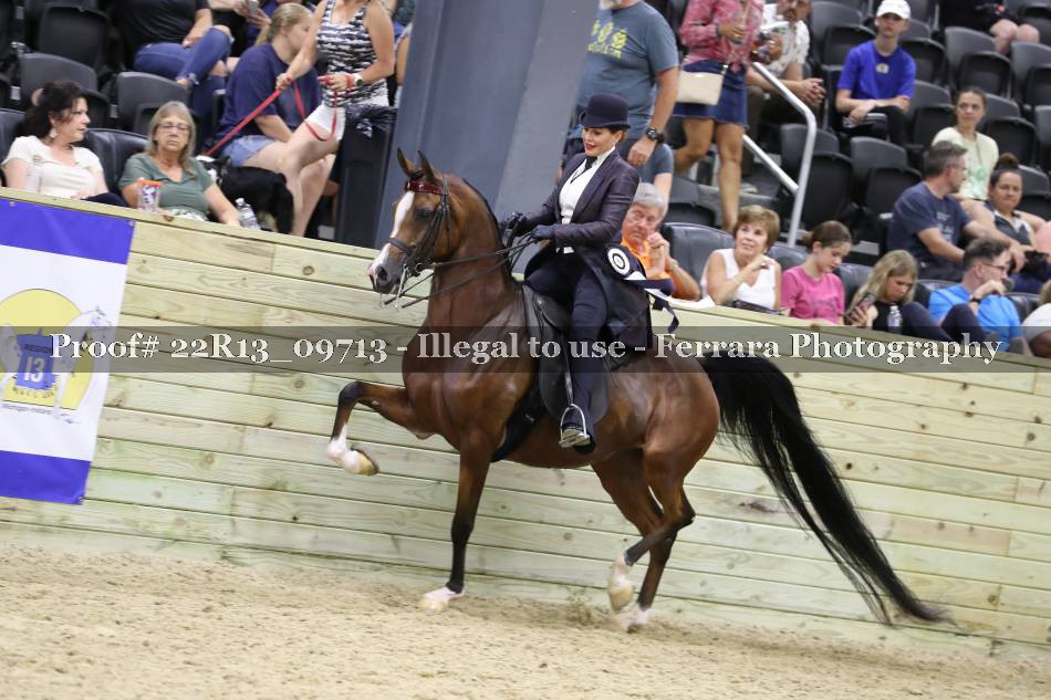 Proof 22R13_09713