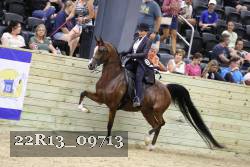 22R13_09713 proof