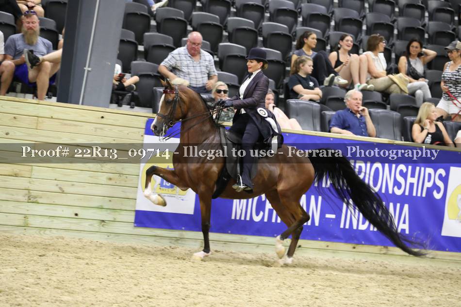 Proof 22R13_09714