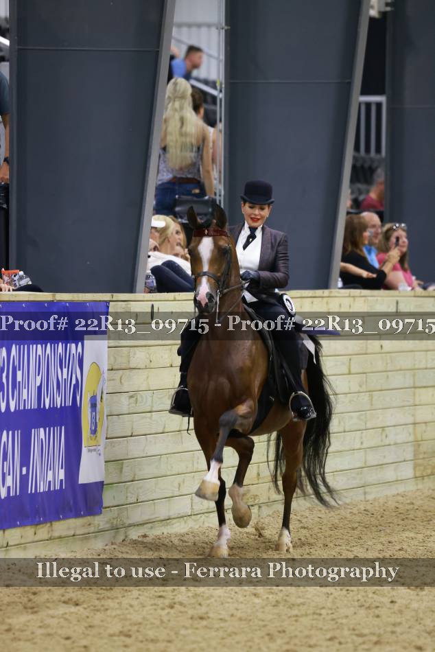 Proof 22R13_09715