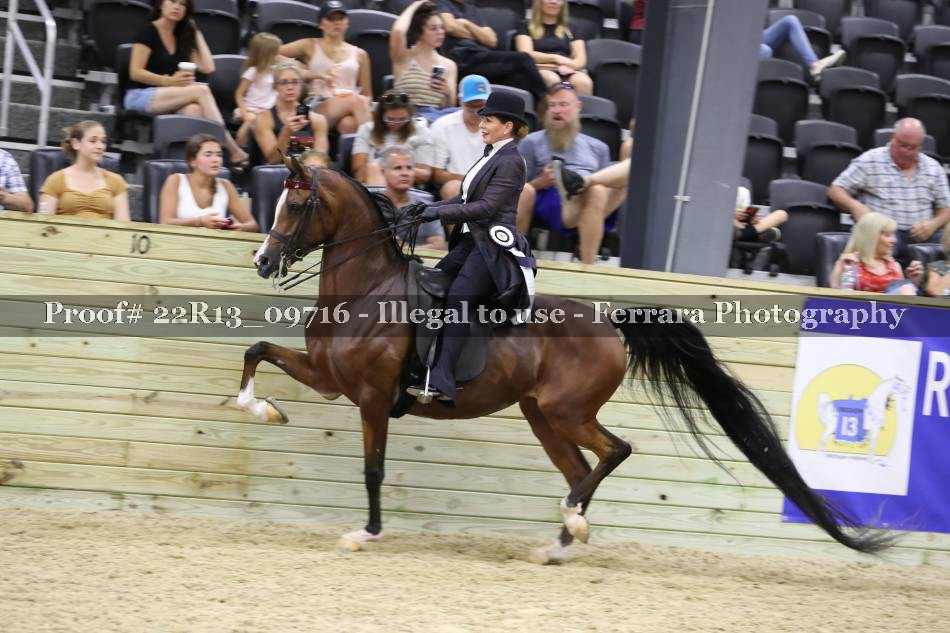 Proof 22R13_09716