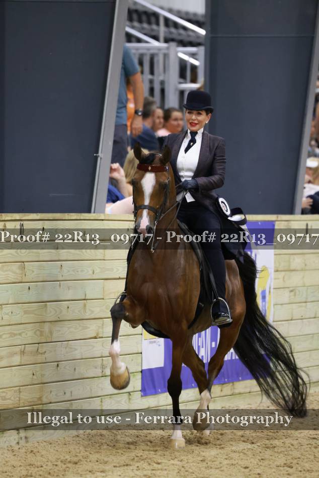 Proof 22R13_09717