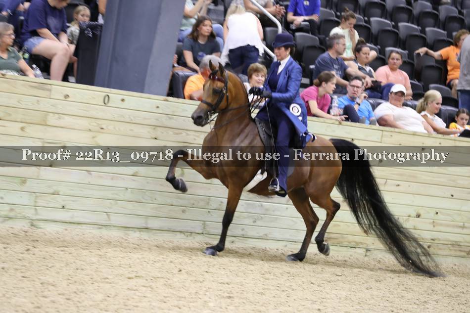 Proof 22R13_09718