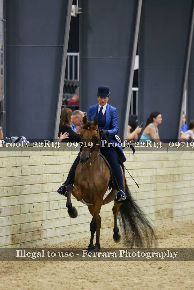 Proof 22R13_09719