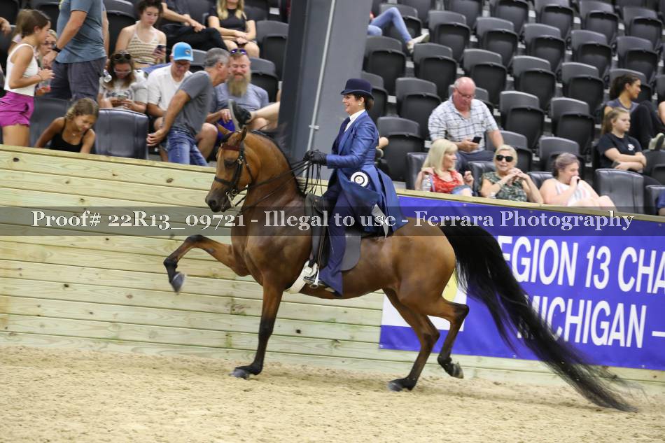 Proof 22R13_09721