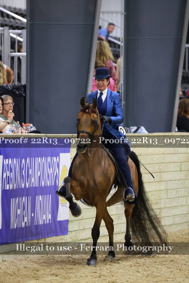 Proof 22R13_09722