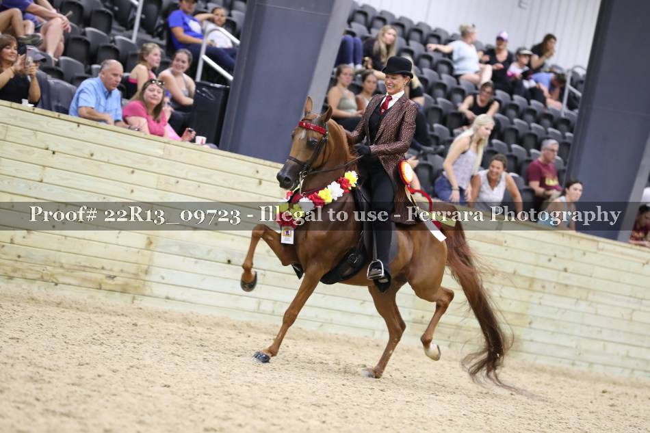 Proof 22R13_09723