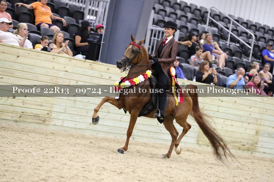 Proof 22R13_09724