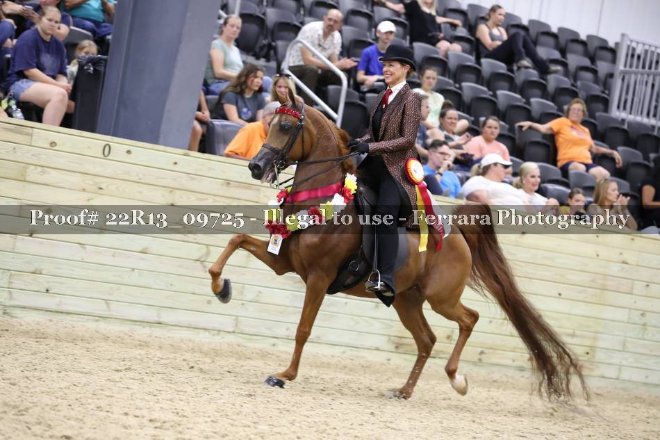 Proof 22R13_09725