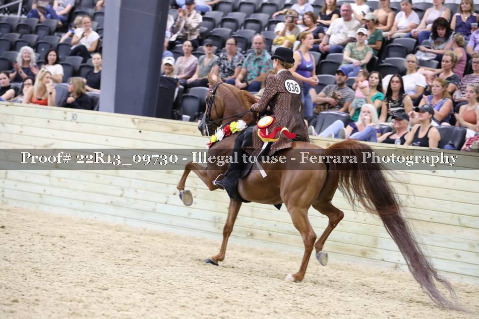 Proof 22R13_09730
